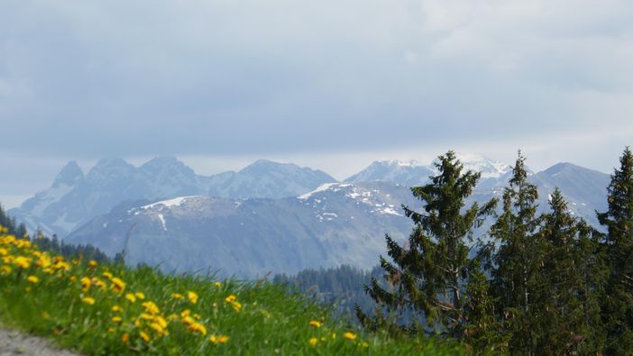 Blick auf die Allgäuer Hochalpen