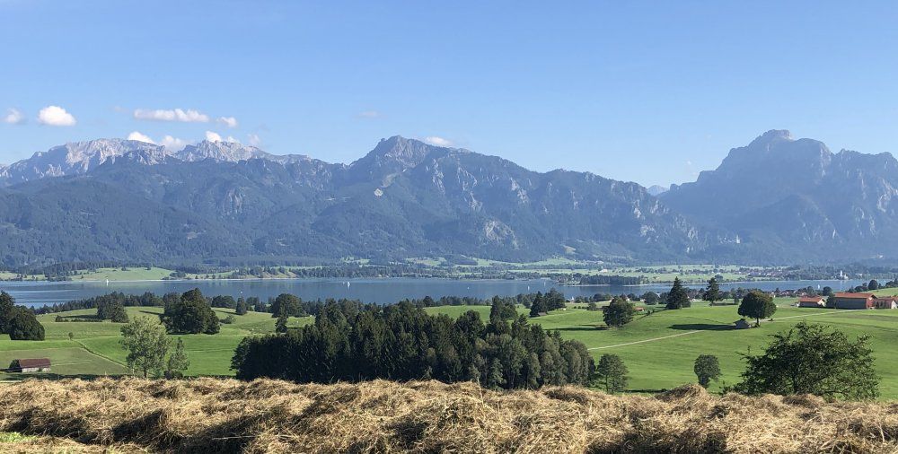 Panoramablick vom Berghof - Blick auf Forggensee