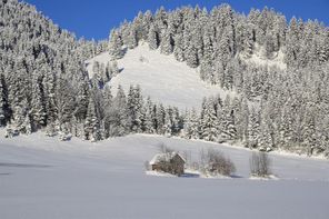 Winterlandschaft
