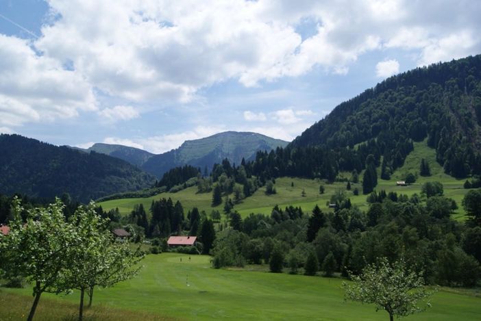 Hochgrat im Sommer