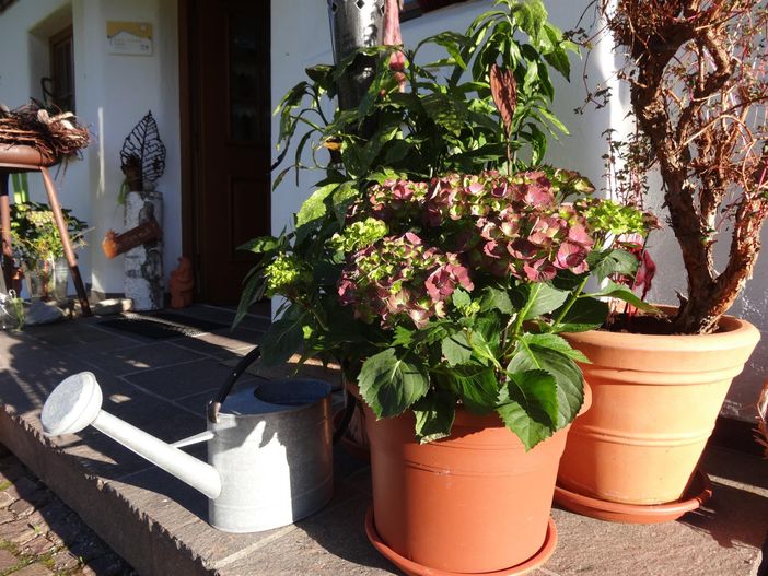 Sommer im Landhaus