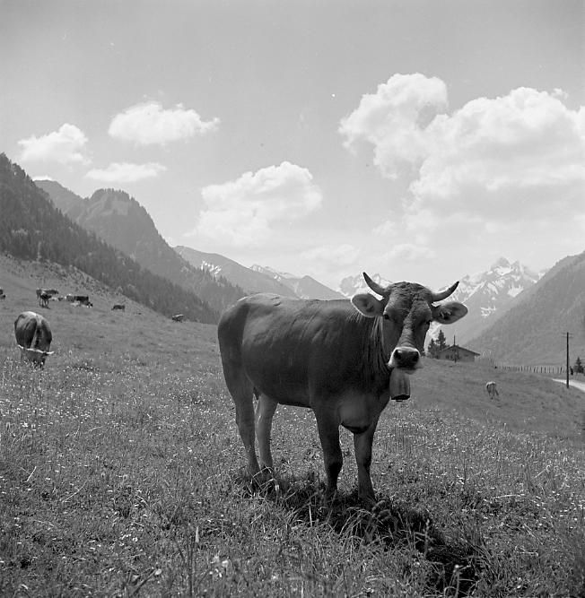 Gitta vor Allgäuer Landschaft 1940