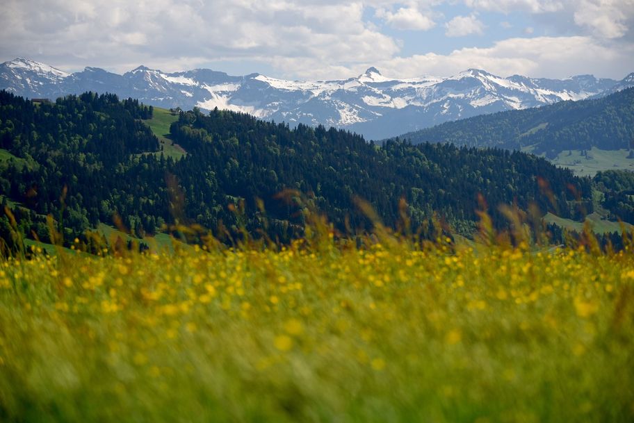 Blick in den Bregenzerwald
