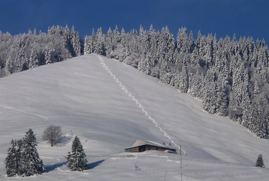 Geheimtipp Konstanzer Tal