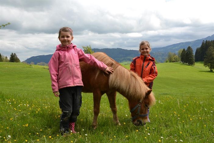 Pony Tara