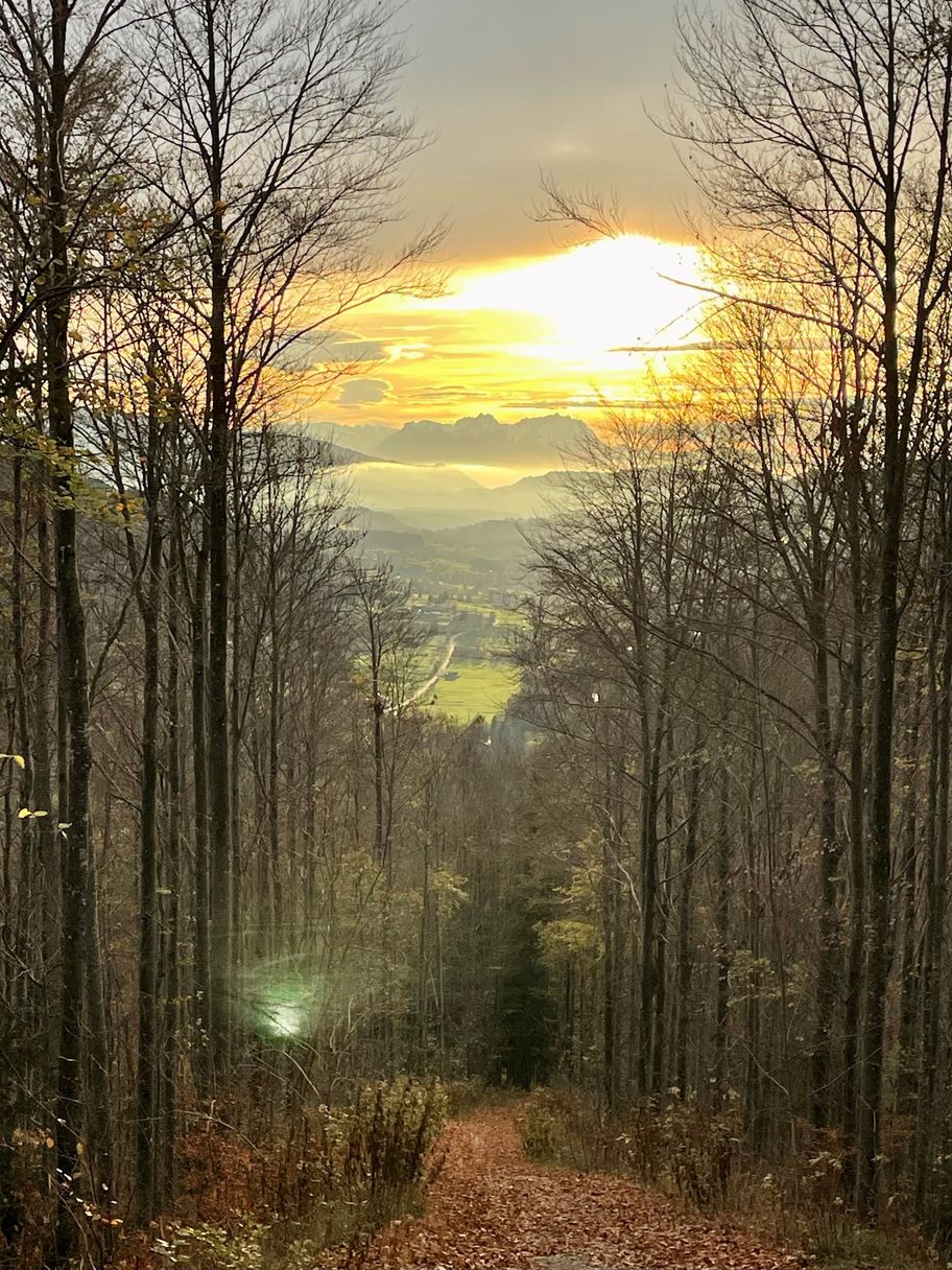 Blick zum Säntismassiv