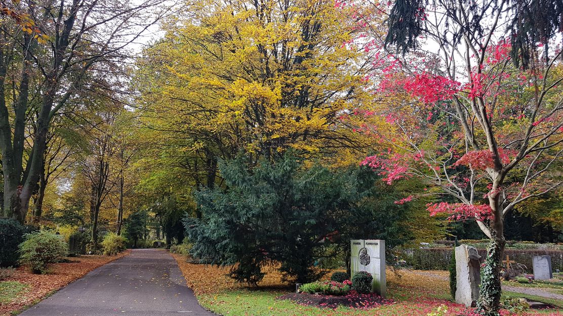 Memminger_Friedhof@Sabine_Streck