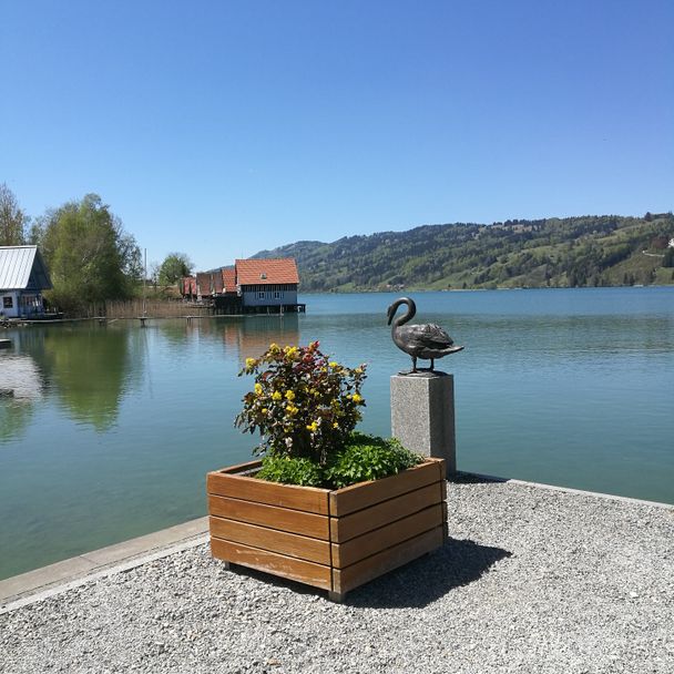 Das Ziel der Alpsee