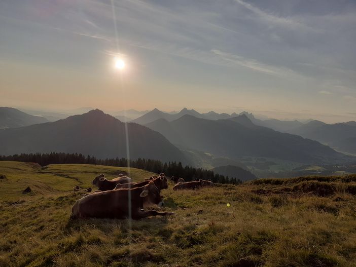 In der Früh