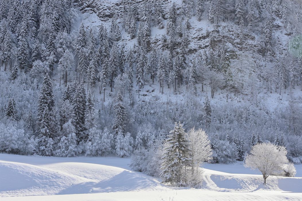 Sonnenbichl Winterspaziergang
