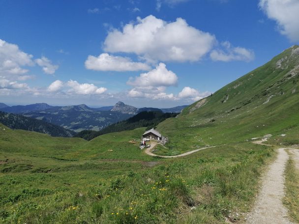 Gappenfeldalm