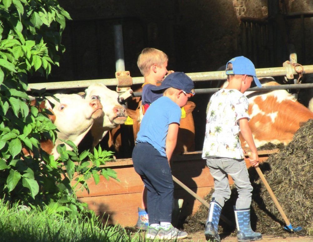 Ein cooles Trio