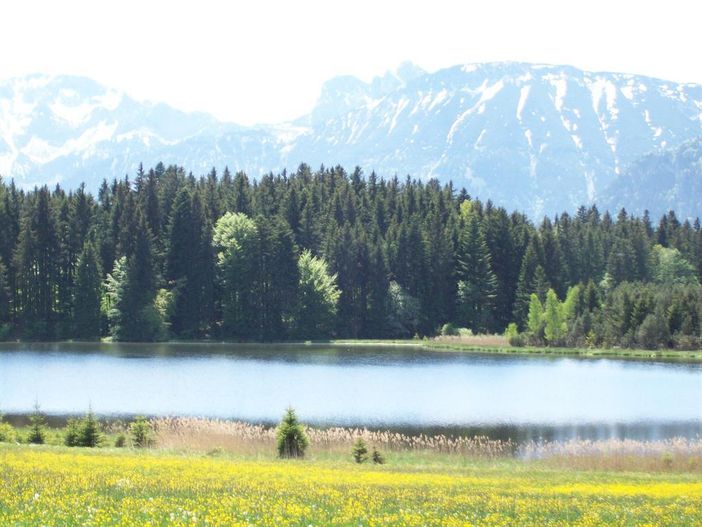 Kögelweiher