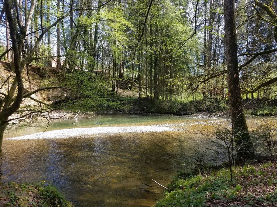 Wanderrundweg 10: "Neuravensburg und Argenzusammenfluss"
