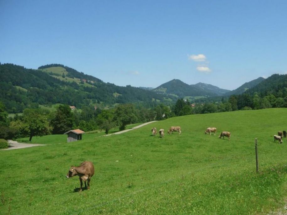Blick aus unserer Ferienwohnung