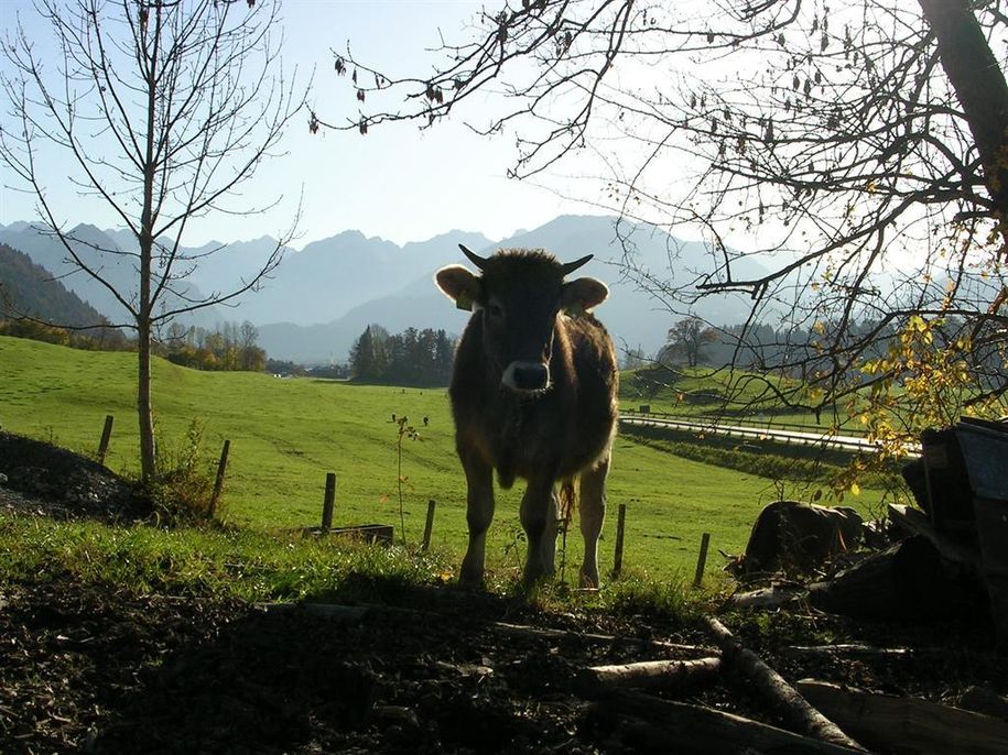Herbst_im_Allgaeu