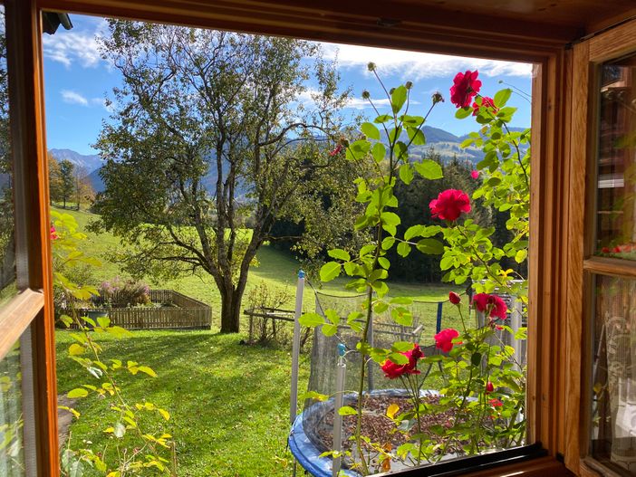 Ausblick Schlafzimmer 1