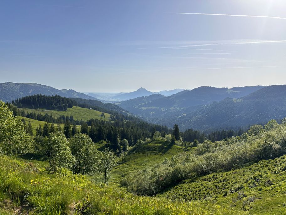Unterhalb des Höllritzereck mit Blick Richtung Grünten