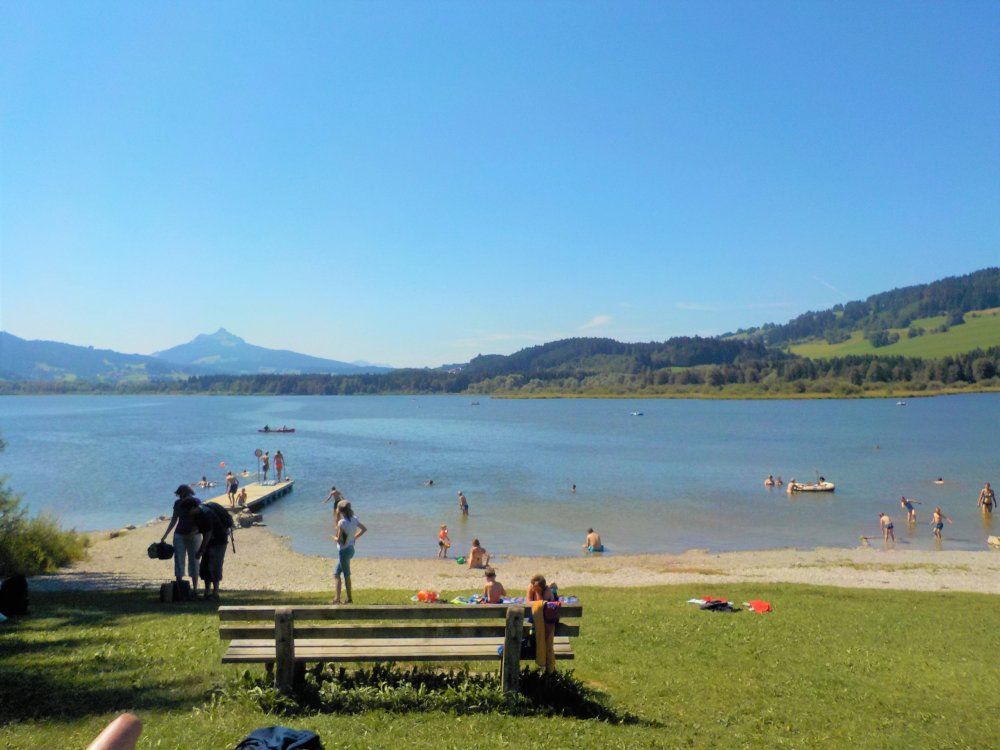 Grüntensee mit Kletterwald im Sommer