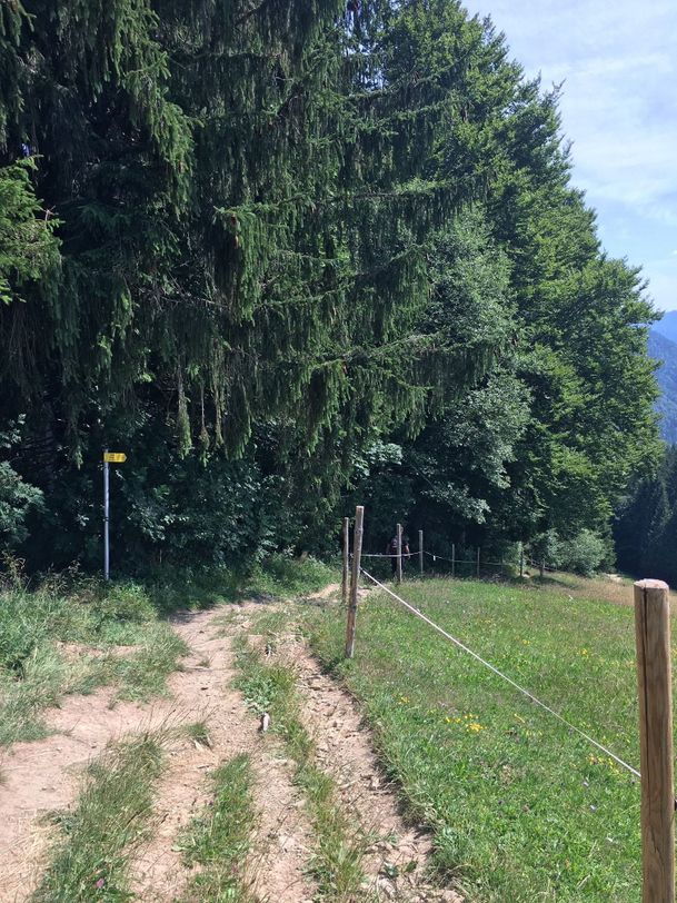 Bachweg zurück zur Talstation