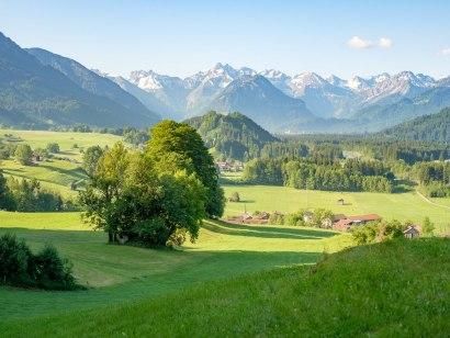 unterthalhofen-im-hintergrund-die-schoellanger-bur
