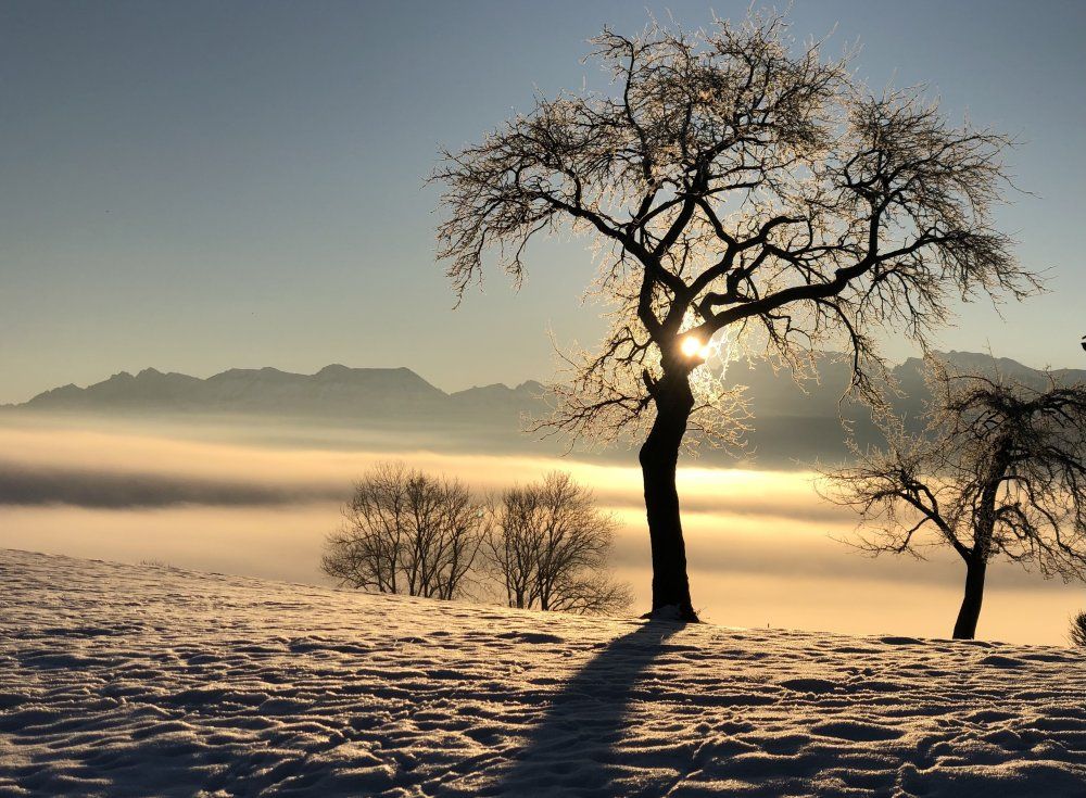 Winterpanorama am Berghof