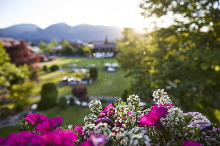 6-GARTEN IM SOMMER-Hotel-Rosenstock-Fischen (6)