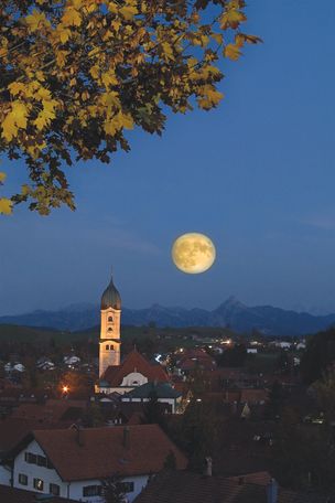 Tourist-Information Nesselwang, Wolfgang Pfisterer