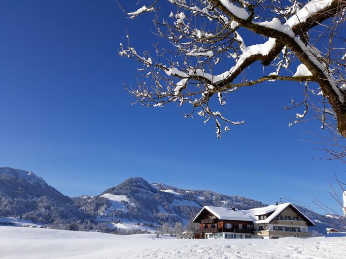 Winterblick