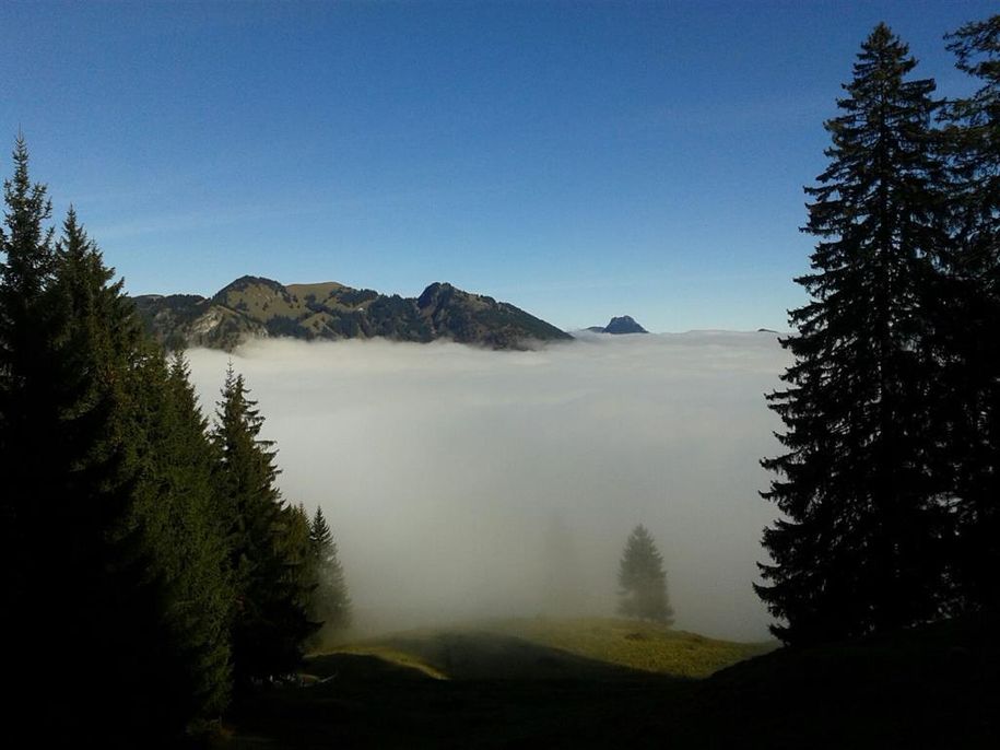 Herbstzauber 2