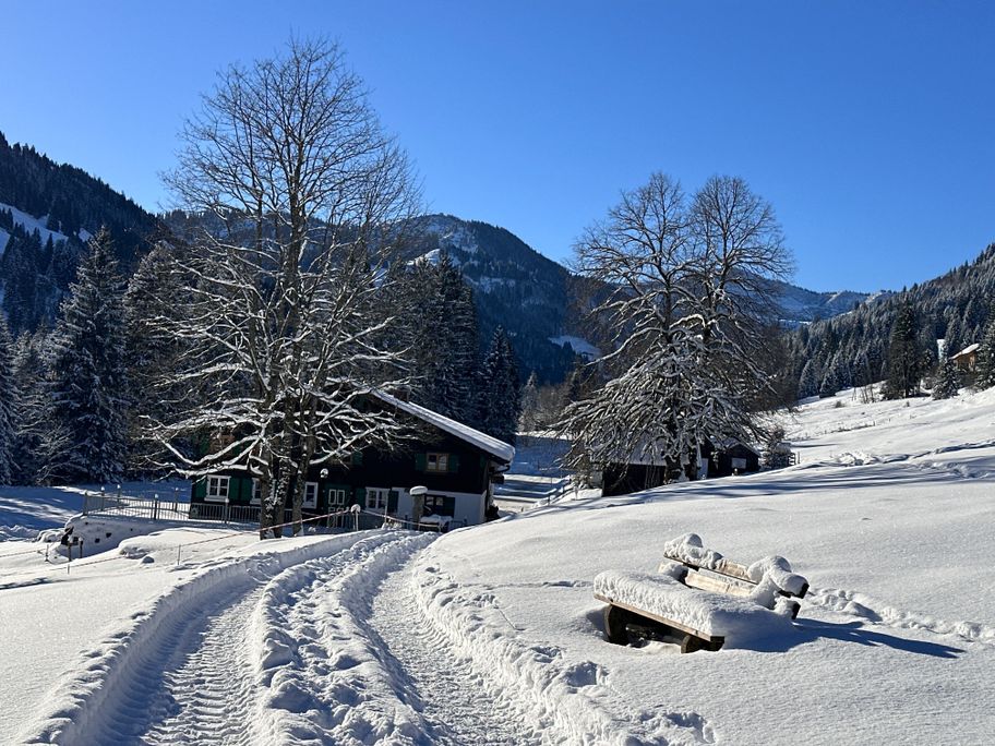 Buhl's Alpe im Winter