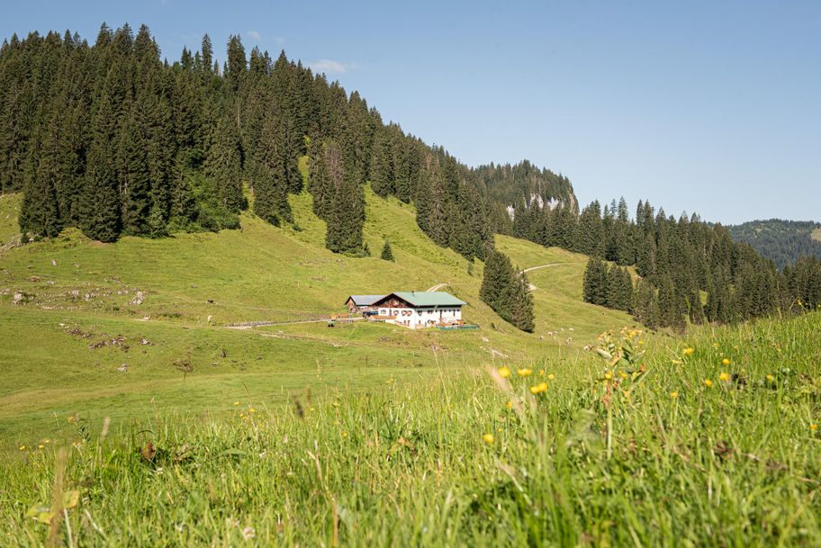 Alpe Dinjörgen - Obermaiselstein