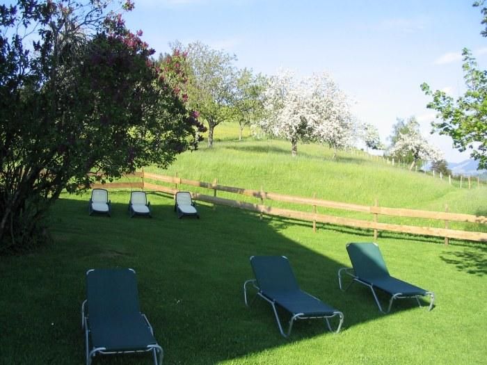 Ruhige Hausgästeliegewiese mit Blick zum Kapf