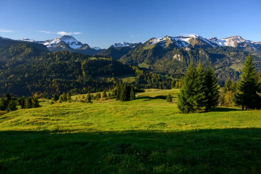 Alles fließt in Sibratsgfäll - Der Erdrutsch am Feuerstätterkopf