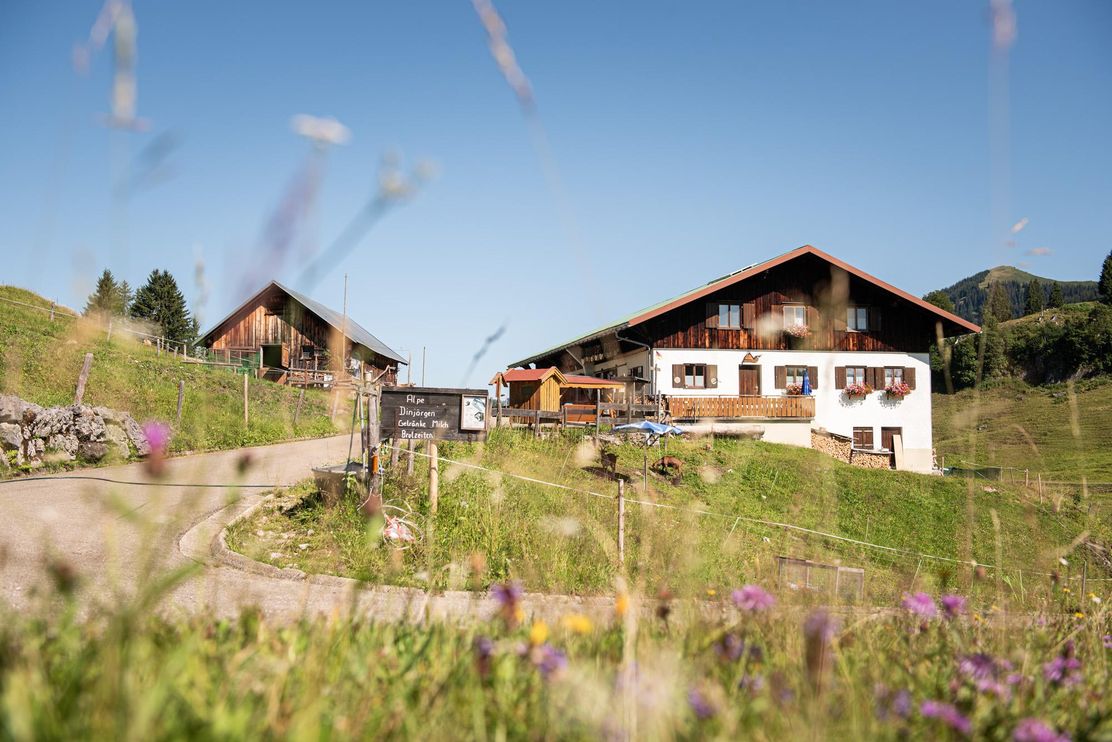 Alpe Dinjörgen - Obermaiselstein