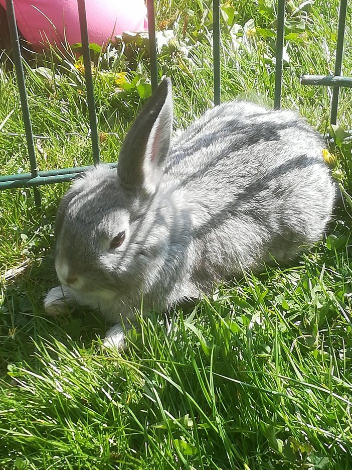 Unsere Sarah