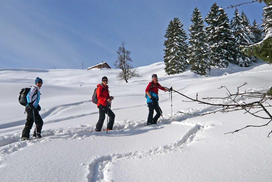 Skitour an der Salmaserhöhe