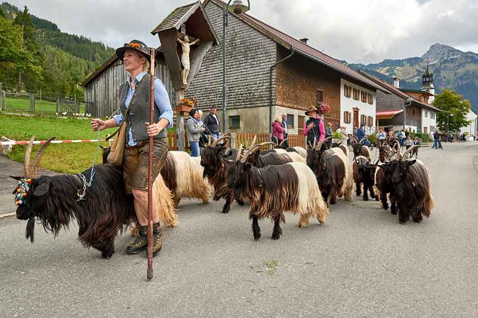 Meurers_Herbst_2017__0953