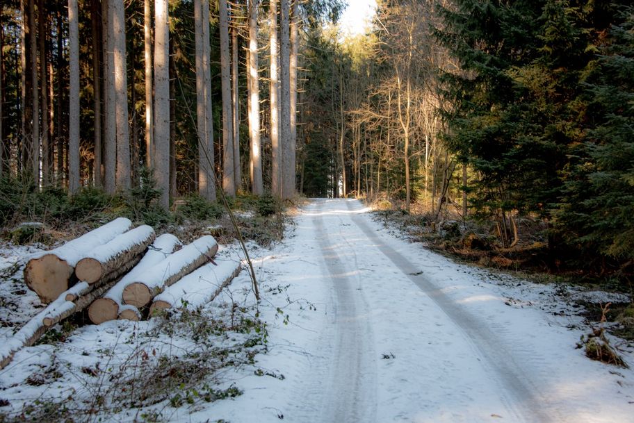 Kurzer Waldabschnitt auf leicht verschneitem Forstweg.