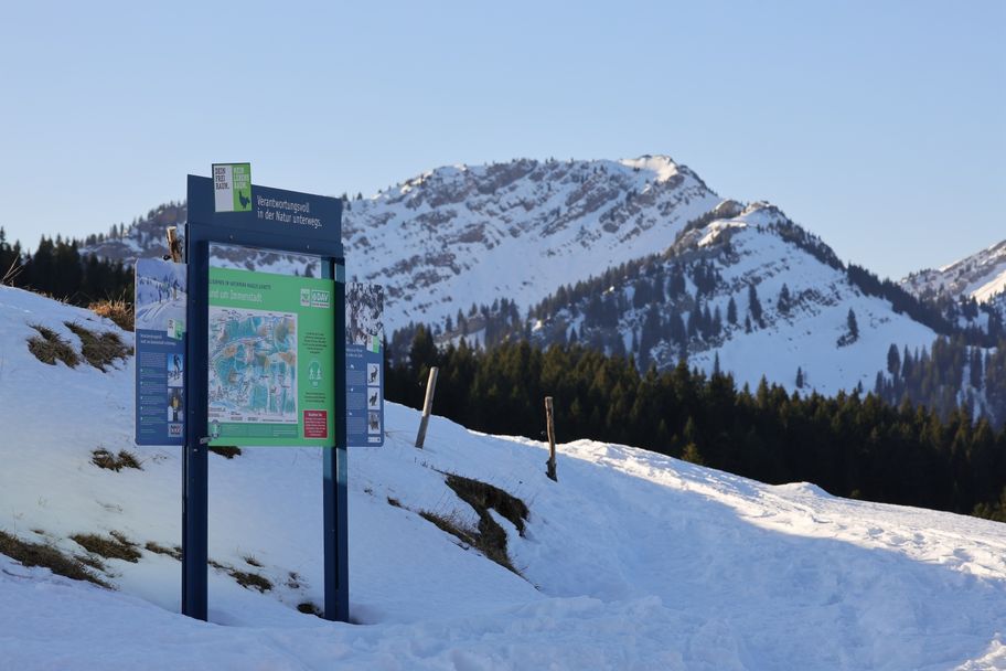 Von Immenstadt zur Mittelbergalpe