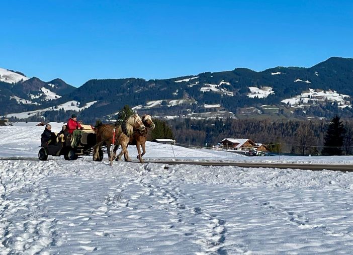 Kutschfahrt am Tiefenberger Moor