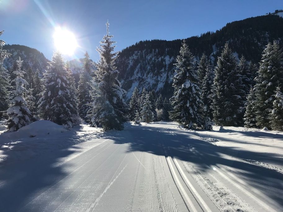 Beschneite Loipe Haldensee - große Runde