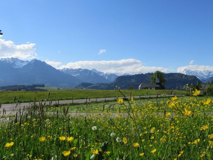 Hof_Lage_Aussicht Sommer