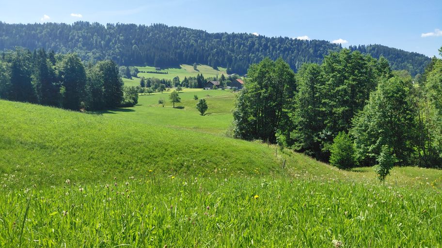 Abwechslungsreiche Kulturlandschaft
