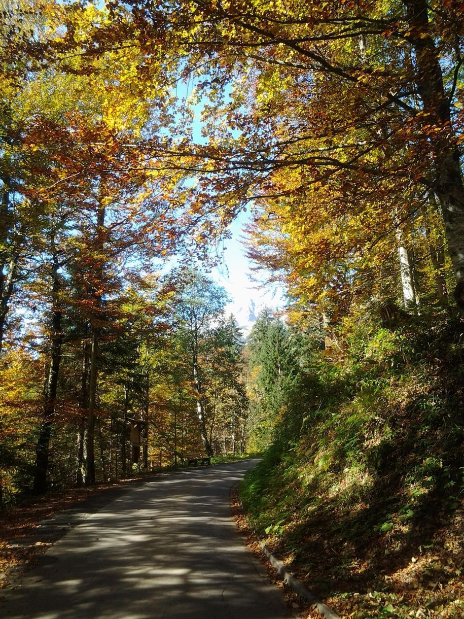 Der Herbst ist im Anmarsch