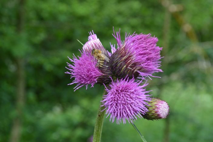 Natur erleben...