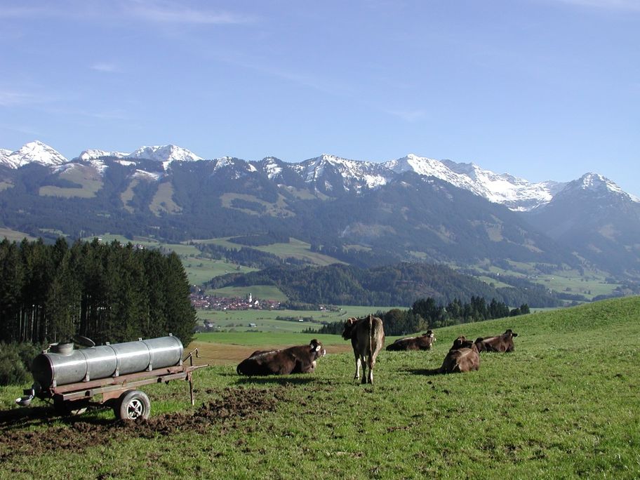Auf der Wittelsbacher Höhe bei Ofterschwang