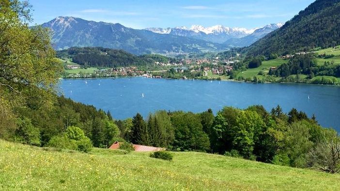 Blick über den Alpsee