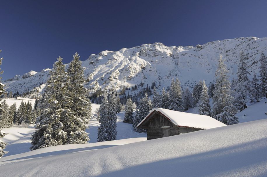 FOTO Hütte am Iseler, Bilddatenbank Hind_IselerHue