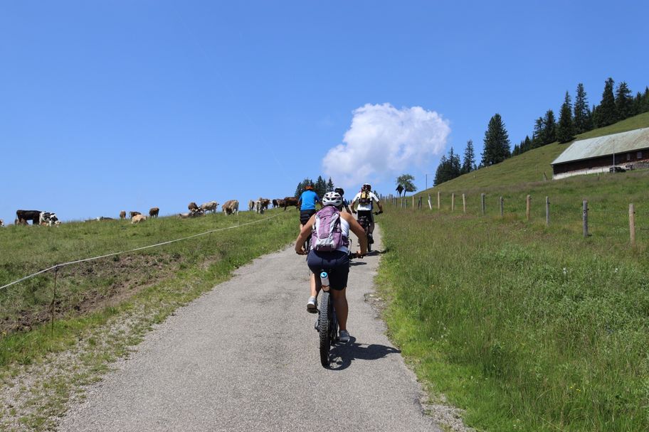 Letzte Höhenmeter vor dem Naturfreundehaus